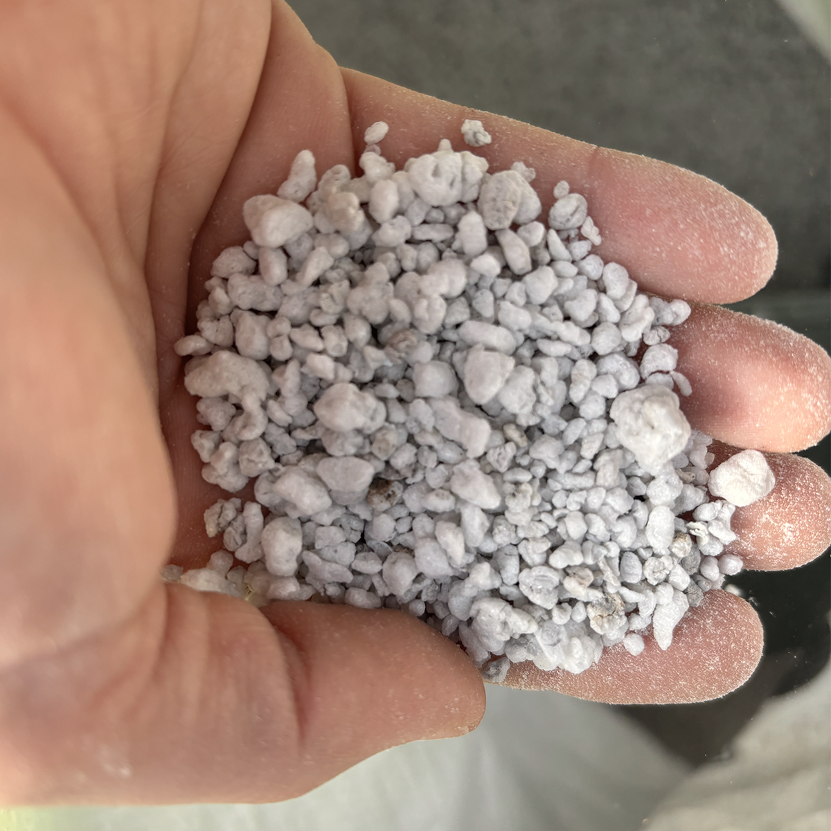 The Complete Guide to Soil Additives for Cacti and Succulents - East Austin  Succulents